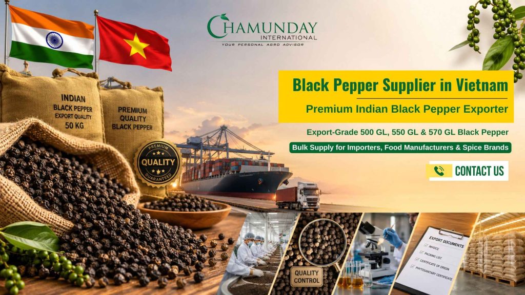Black Pepper Supplier in Vietnam