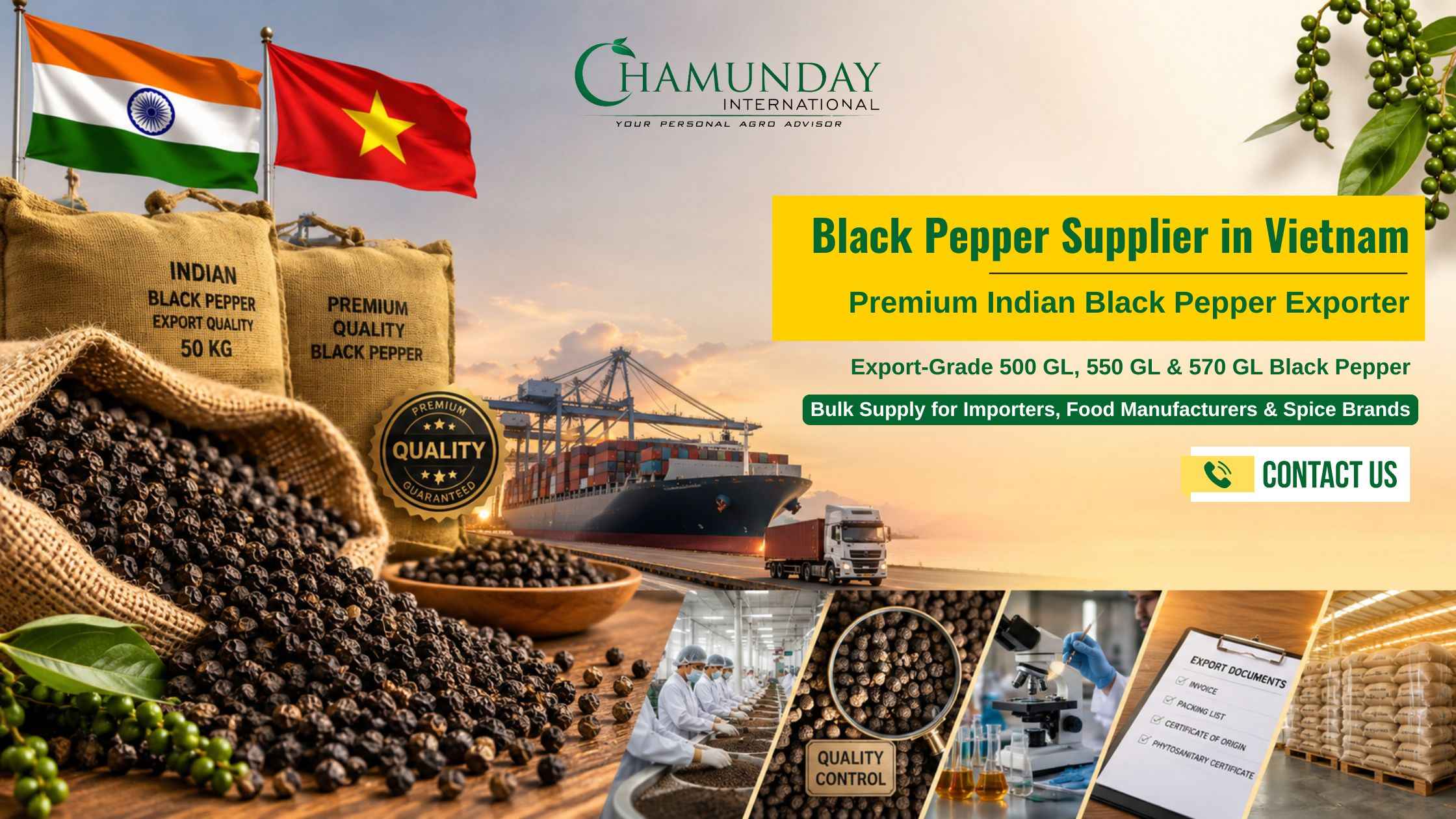 Black Pepper Supplier in Vietnam | Premium Indian Black Pepper Exporter – Chamunday International