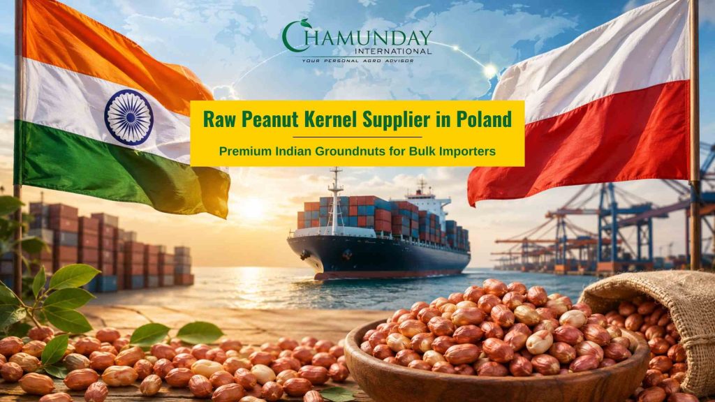 Raw Peanut Kernel Supplier in Poland