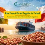 Raw Peanut Kernel Supplier in Poland
