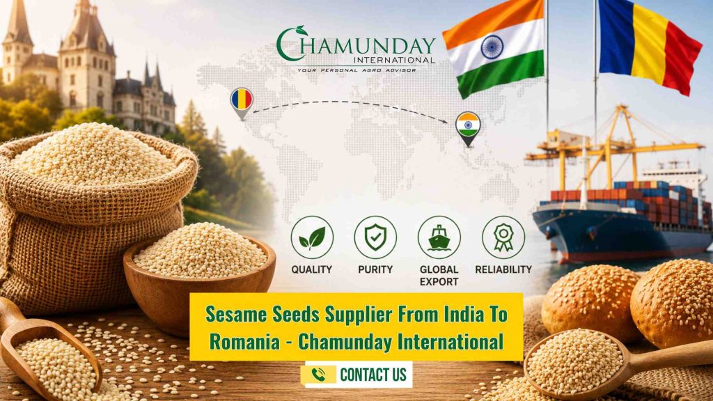 Sesame Seeds Supplier in Romania - Bulk Sesame Seeds Exporter from India - Chamunday International