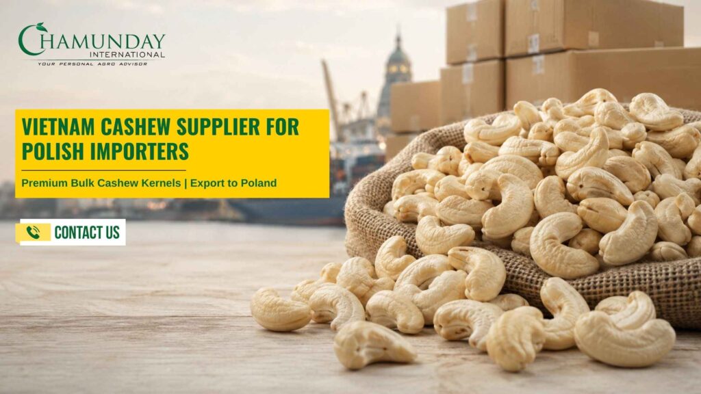 Vietnam Cashew Supplier for Polish Importers