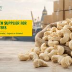 Vietnam Cashew Supplier for Polish Importers