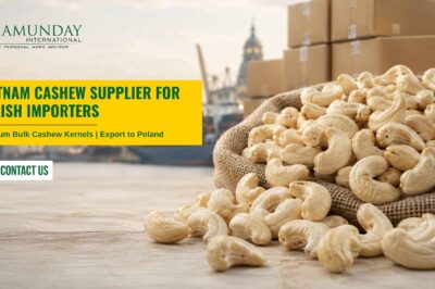 Vietnam Cashew Supplier for Polish Importers | Premium Bulk Cashew Exporter to Poland – Chamunday International