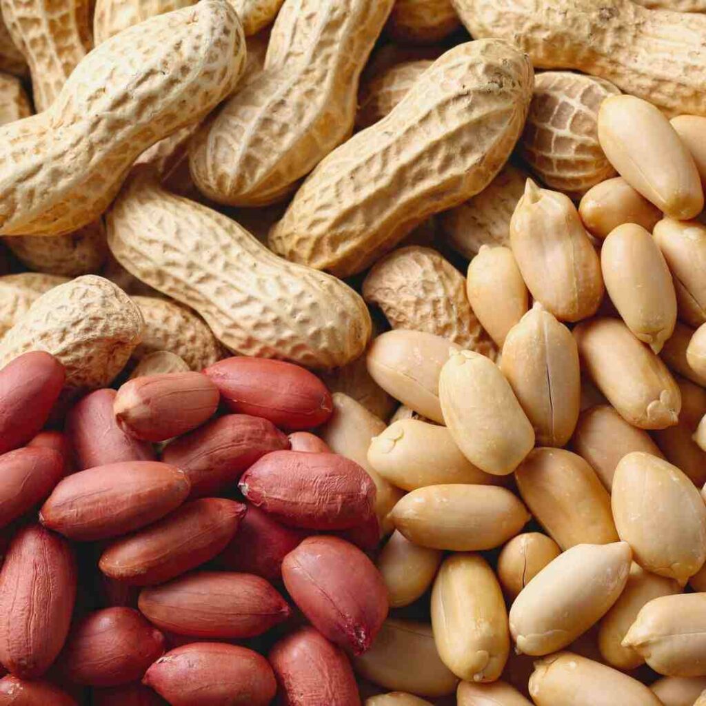 India-origin peanuts and peanut kernels for Polish importers