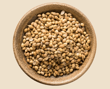Coriander Seeds