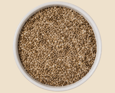 Dill Seeds