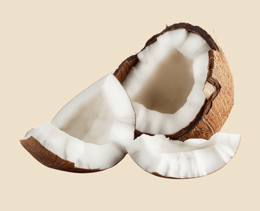 Dry Coconut / Copra
