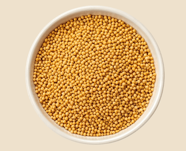 Mustard Seed
