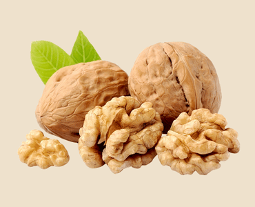 Walnut Kernel