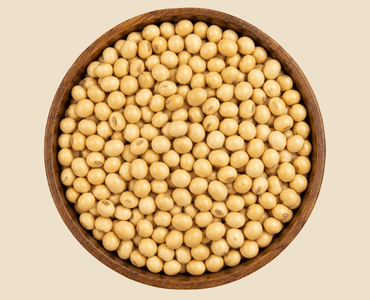 Soyabean Seeds