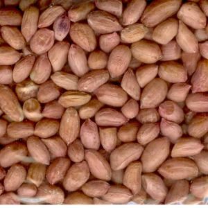 Peanut – Bold Quality (Red Skin)