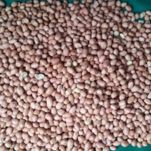 Peanut – Java Quality (Pink Skin)