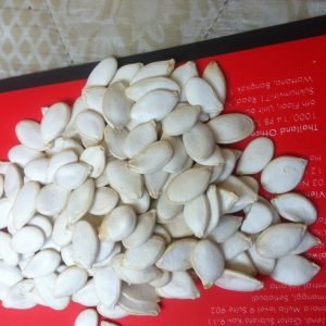 Pumpkin Seeds