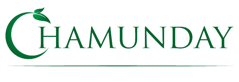 Chamundayinternational.com